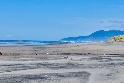 A Sailor's Life for Me image 21